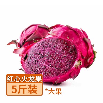 【特产】广西 京都一号 红心火龙果 大果5斤