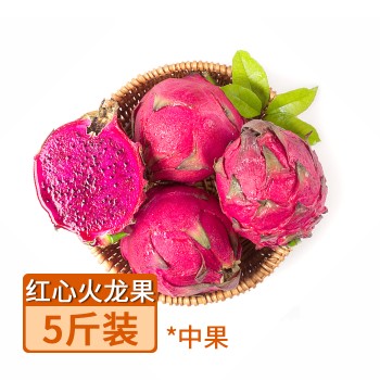 【特产】广西 京都一号 红心火龙果 中果5斤