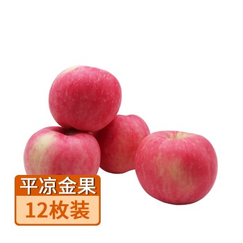 【特产】甘肃 平凉红富士金果大苹果12枚