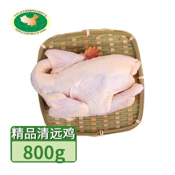 【特产】清远 天农 精品清远鸡 1只800g 地标产品