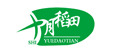 十月稻田