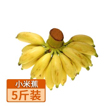 【特产】广西 农家小米蕉5斤80461