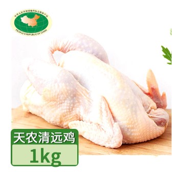 【特产】清远 天农优品138天精品清远鸡1kg左右 80420地标产品