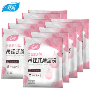 除湿剂-春风 吊挂式除湿袋（10袋）
