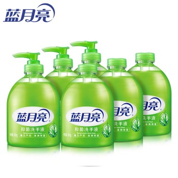 蓝月亮 洗手液组合（芦荟洗手液500g*3+补充装500g*3）