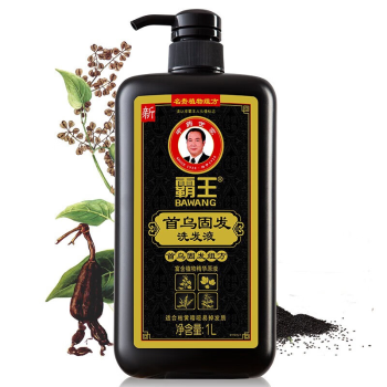 霸王 首乌固发洗发液1000ml*2 特惠装