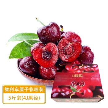 智利 车厘子彩箱装（顺丰快递）4J 5斤装