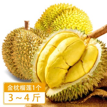 泰国 金枕头榴莲1个约3-4斤新鲜水果带壳【顺丰配送】