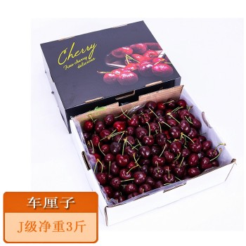 美国车厘子J级净重3斤