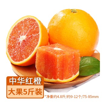 【特产】湖北 宜昌中华红橙脐橙5斤大果装