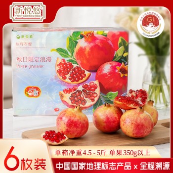 新悦悠会理石榴6枚装精品礼盒