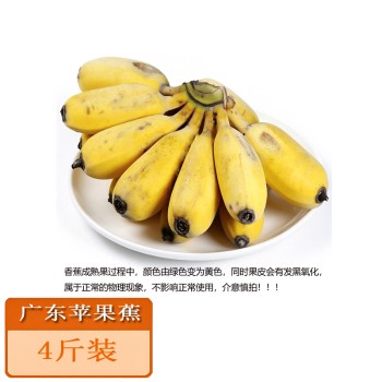 广东苹果蕉4斤泡沫箱