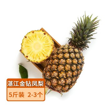 【特产】广东湛江 红土金钻凤梨5斤小果装 地标产品 菠萝地海