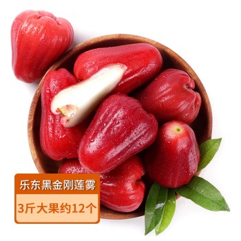 【特产】海南 乐东黑金刚莲雾3斤大果 热带水果