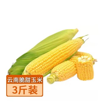 【特产】云南 脆甜玉米3斤装