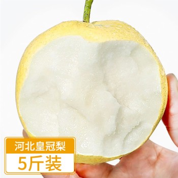 河北皇冠梨5斤单果约250g