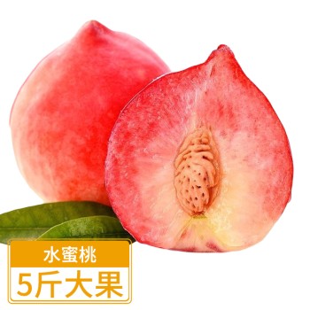 春雪水蜜桃大果5斤普通装