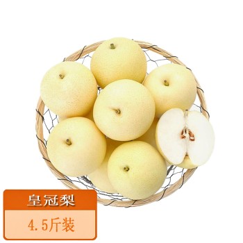 河北皇冠梨4.5斤装单果250g+