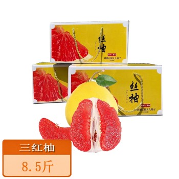 福建三红蜜柚8.5斤(3-4粒) 单果约1000g+