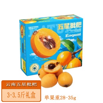 云南五星枇杷3-3.5斤礼盒 单果重28-35g