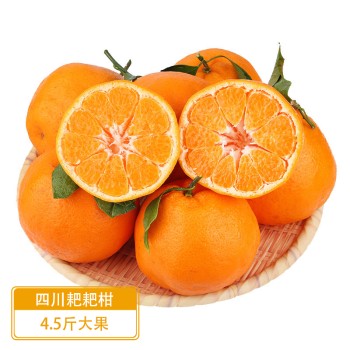 四川耙耙柑（顺丰快递）4.5斤大果