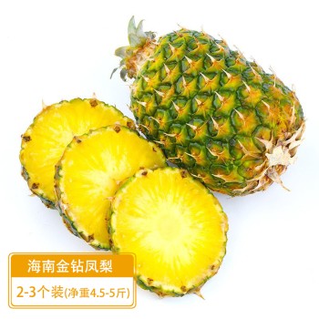 海南金钻凤梨（顺丰快递）2-3个装