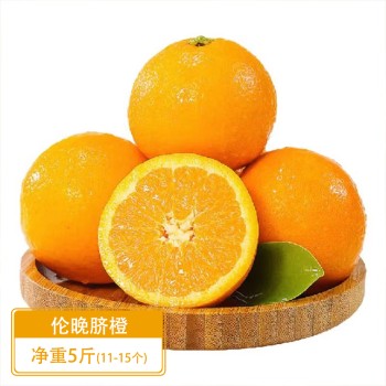伦晚脐橙 净重5斤