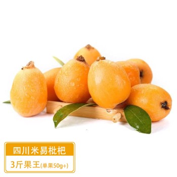 四川米易枇杷3斤果王