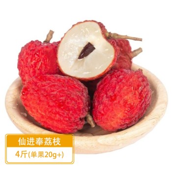仙进奉荔枝保温礼袋4斤