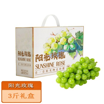 山东阳光玫瑰3斤礼盒随机发单果12g+
