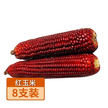 【特产】山东 水果红宝石红玉米8支真空包装礼盒