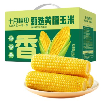 十月稻田甄选黄糯玉米1.32kg（220gX6）