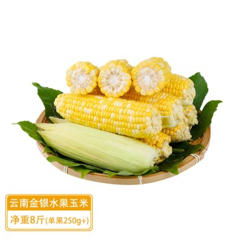 云南金银水果玉米（顺丰快递）净重8斤（单果250g+)
