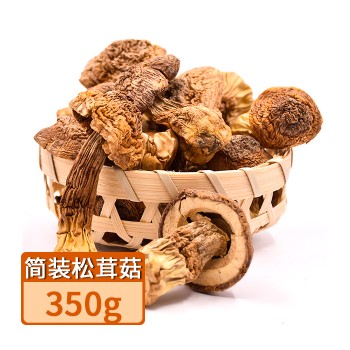 【特产】梅州 银新简装 松茸菇