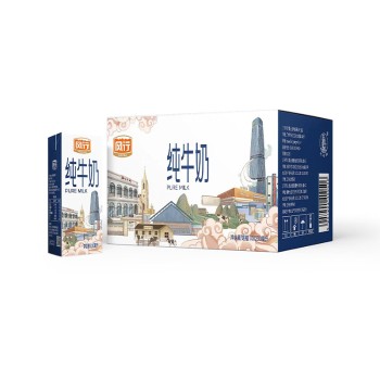 风行 苗条砖纯牛奶200mL×10盒