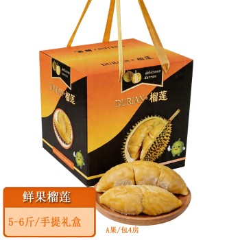 查看更多