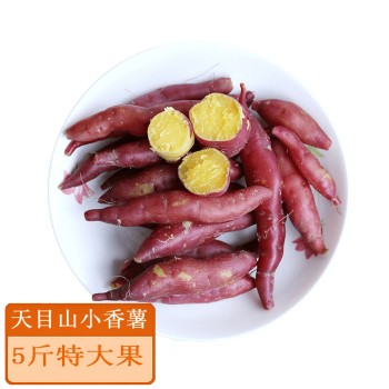 查看更多